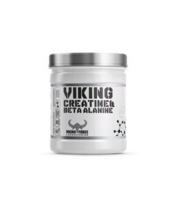 کراتین بتا آلانین وایکینگ فورس (300g) | VIKING CREATINE & BETA ALANINEکراتین بتا آلانین وایکینگ فورس (300g) | VIKING CREATINE & BETA ALANINE