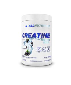 کراتین مونوهیدرات آل نوتریشن 500 گرم ALLNUTRITION Protein Concentrate