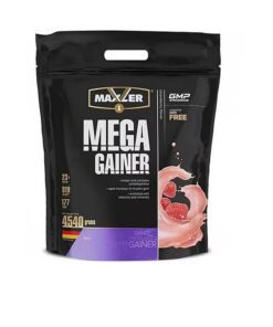 مگا گینر مکسلر (1kg) | Maxler Mega Gainer